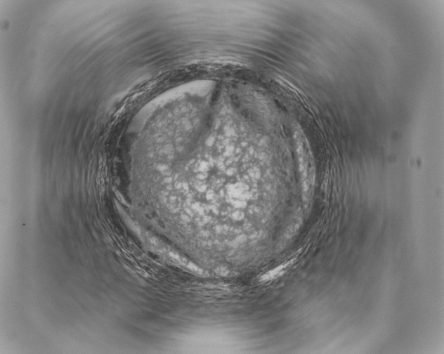 X0000087381014200705111730