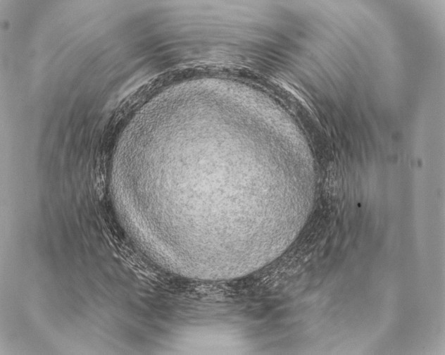 X0000087381015200705111730