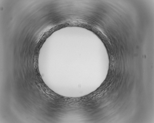 X0000087381016200705111730