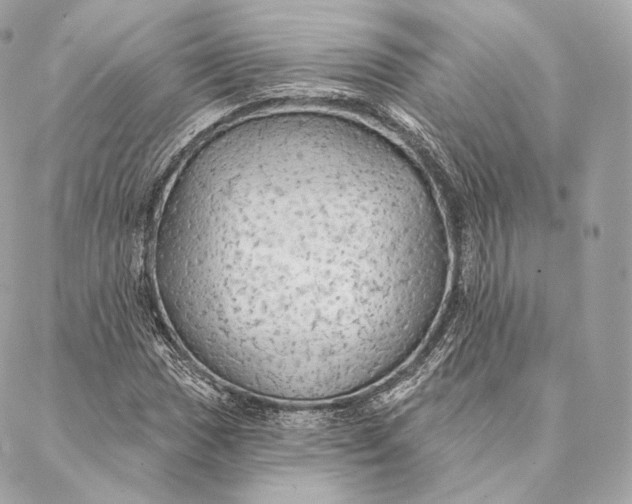 X0000087381017200705111730