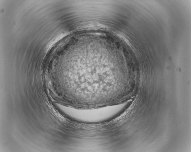 X0000087381018200705111730