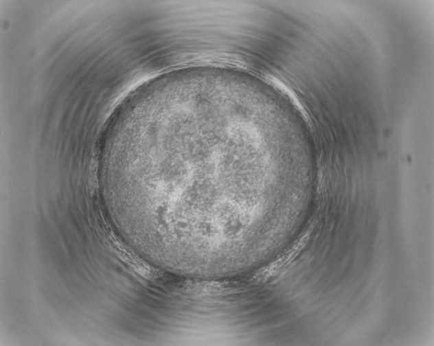 X0000087381019200705111730