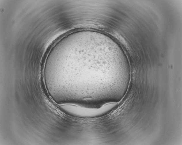 X0000087381020200705111730