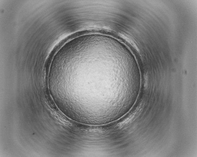 X0000087381021200705111730