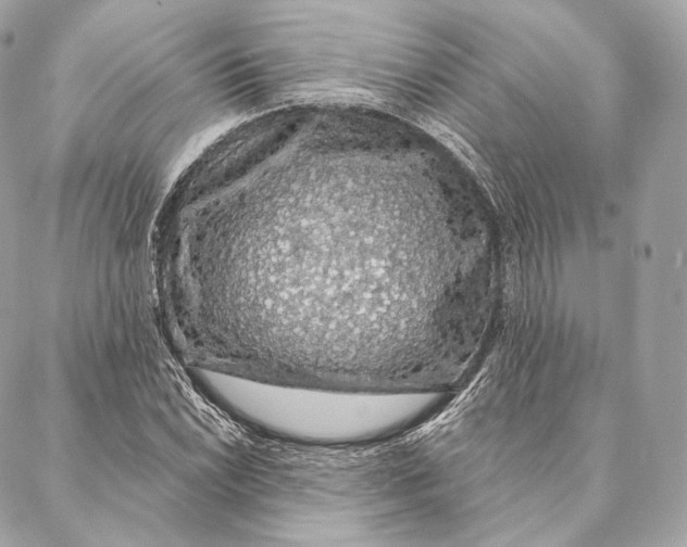 X0000087381022200705111730