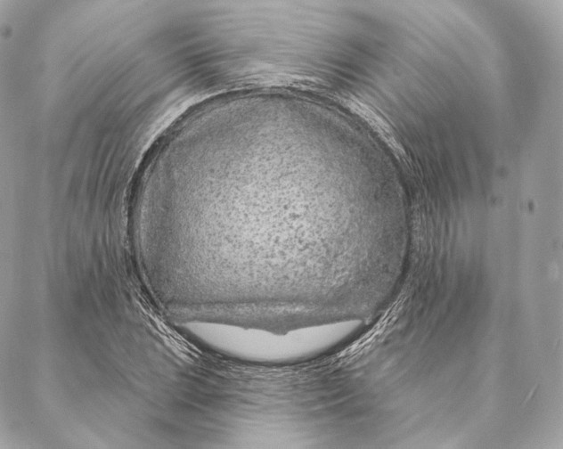 X0000087381023200705111730