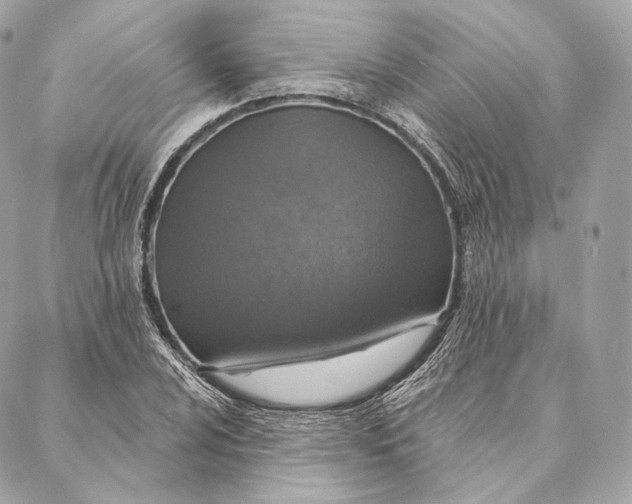 X0000087381024200705111730