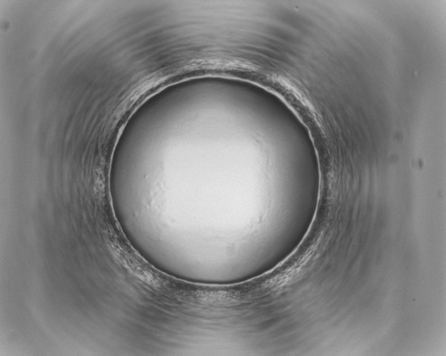 X0000087381025200705111730