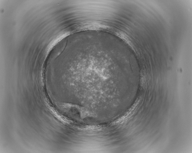 X0000087381026200705111730