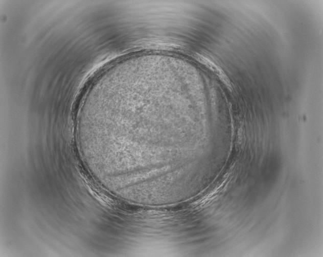 X0000087381027200705111730