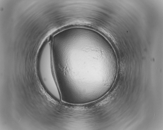 X0000087381029200705111730