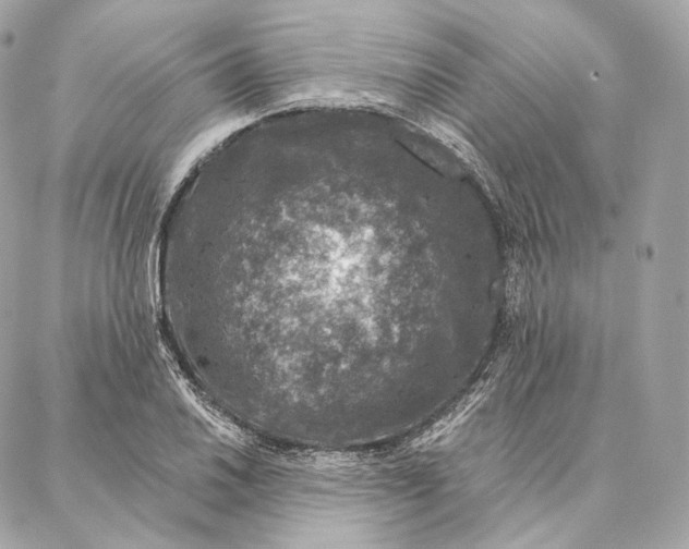 X0000087381030200705111730