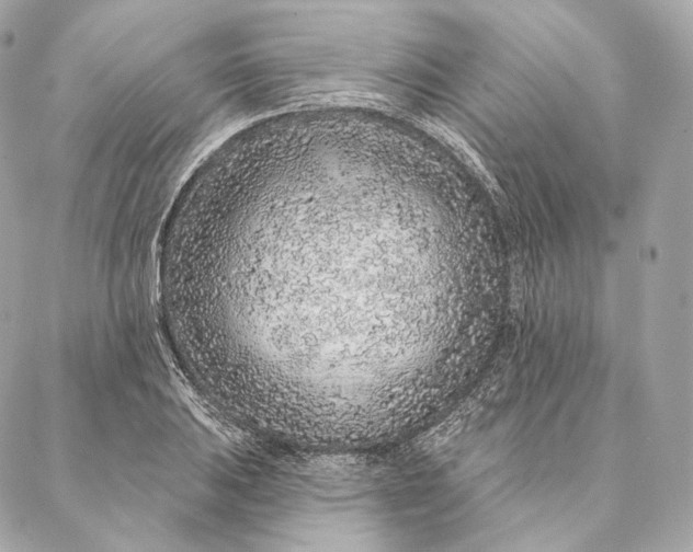 X0000087381031200705111730