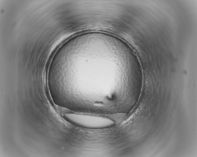 X0000087381032200705111730