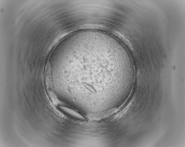 X0000087381033200705111730