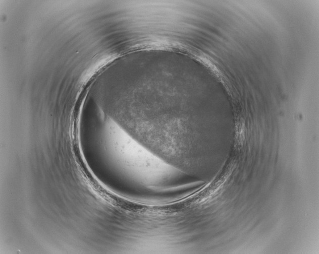 X0000087381034200705111730