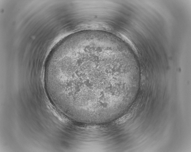 X0000087381035200705111730