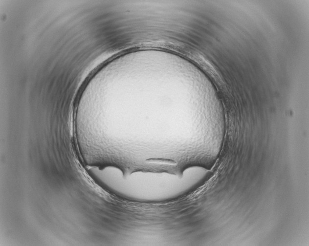 X0000087381036200705111730