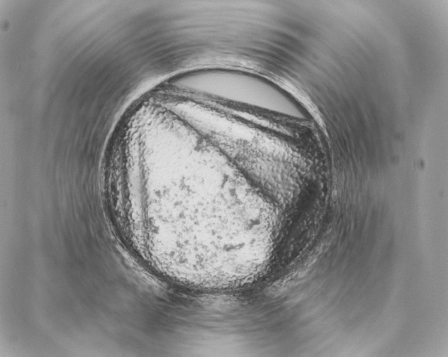 X0000087381037200705111730