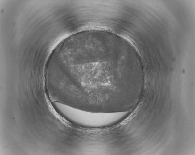 X0000087381038200705111730