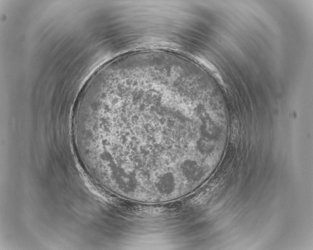 X0000087381039200705111730