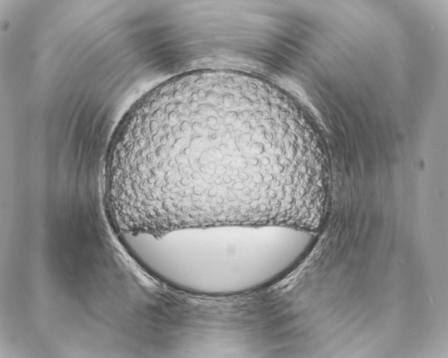 X0000087381040200705111730