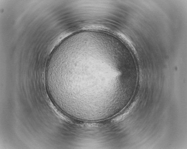 X0000087381041200705111730