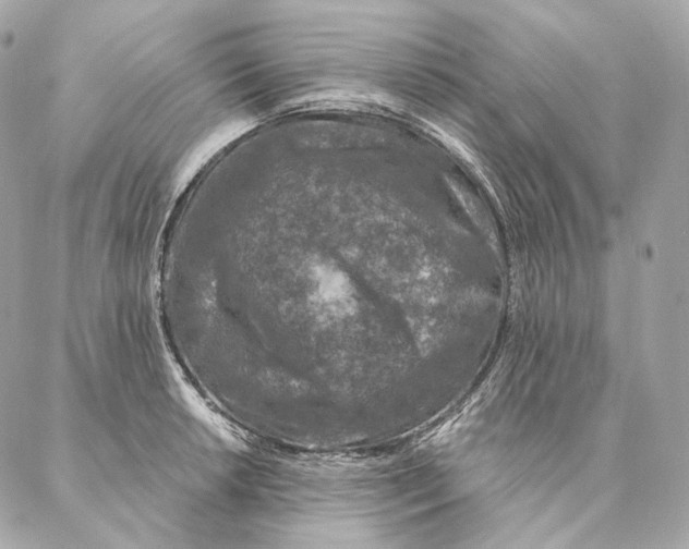 X0000087381042200705111730