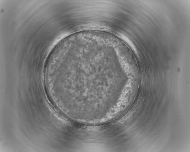 X0000087381043200705111730