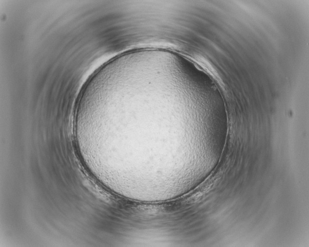 X0000087381044200705111730