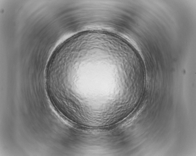 X0000087381045200705111730