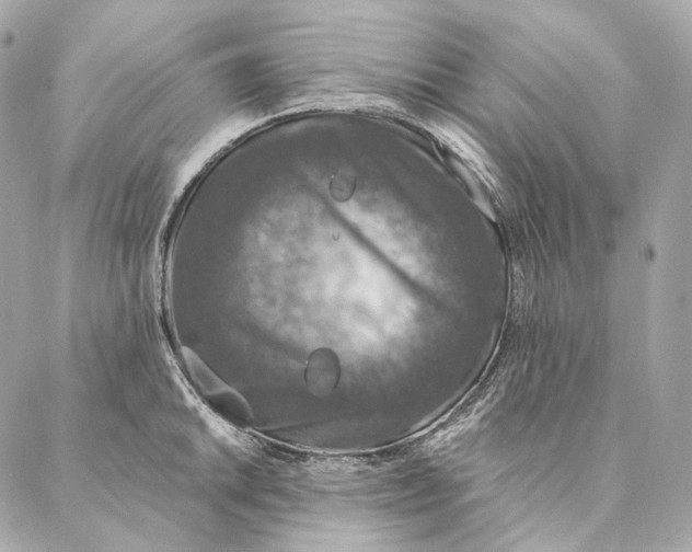 X0000087381046200705111730