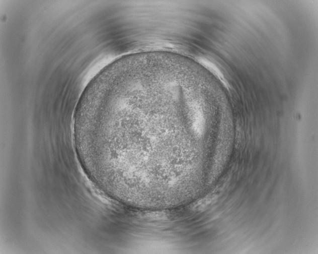 X0000087381047200705111730