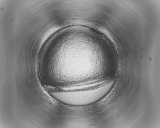 X0000087381048200705111730