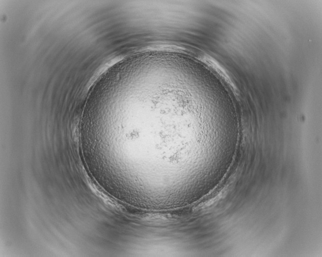 X0000087381049200705111730