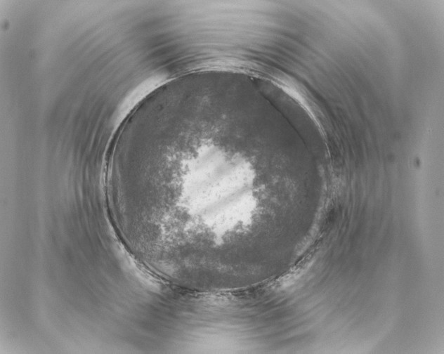 X0000087381050200705111730