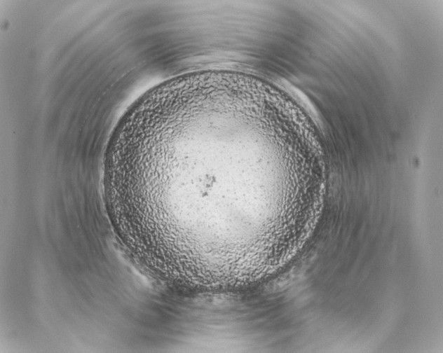 X0000087381051200705111730