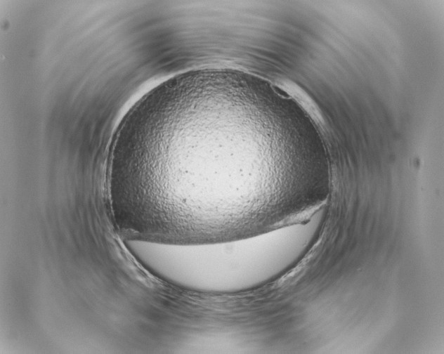 X0000087381052200705111730