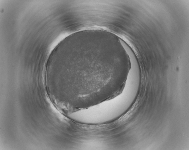 X0000087381054200705111731