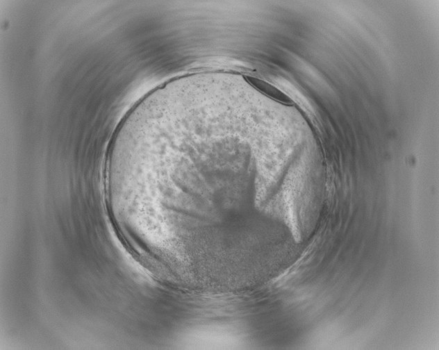 X0000087381055200705111731