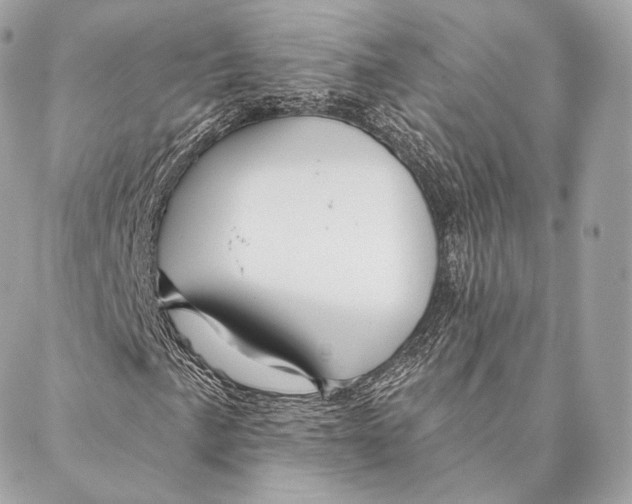 X0000087381057200705111730