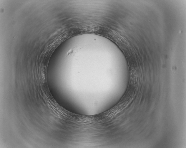 X0000087381058200705111730