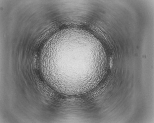 X0000087381059200705111730