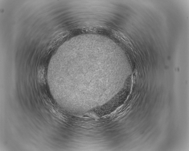 X0000087381060200705111730