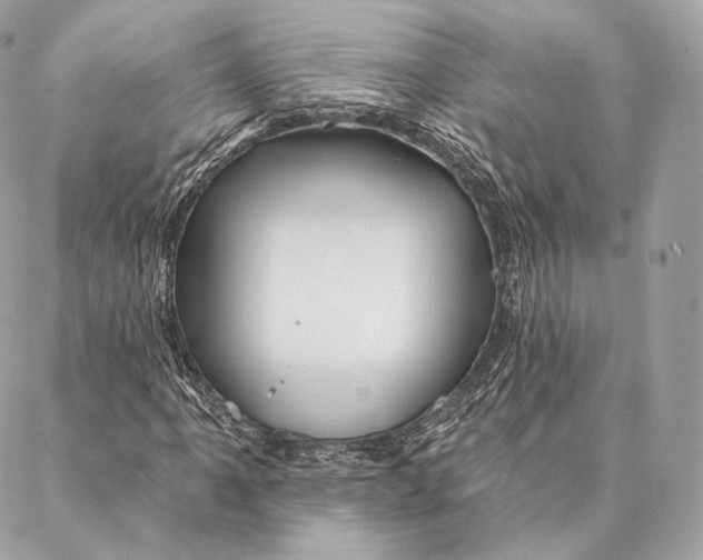 X0000087381061200705111730