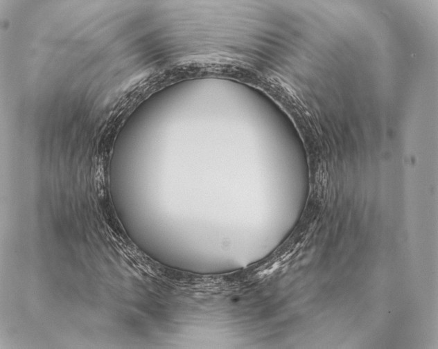 X0000087381062200705111730