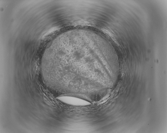 X0000087381063200705111730