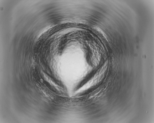 X0000087381064200705111730