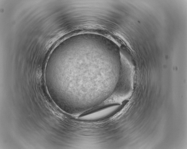 X0000087381065200705111730