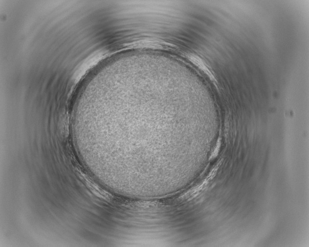 X0000087381067200705111730